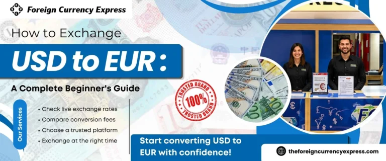 How to Exchange USD to EUR A Complete Beginner's Guide