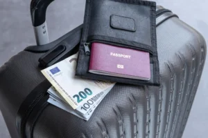 Buy Euros Online for Different Types of European Travel